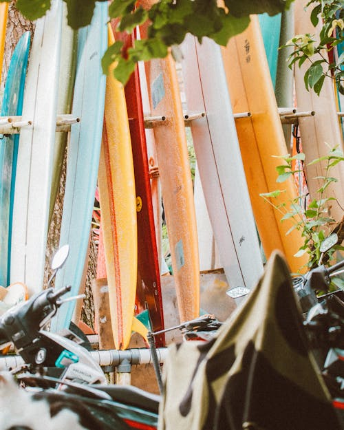 Colored Surfboards Lined Up 