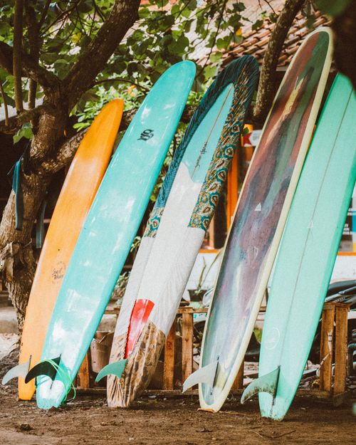 Free Vibrant surfboards lined up under a tree, perfect for beach and surf themes. Stock Photo