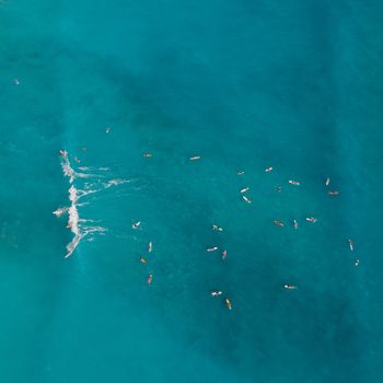 从鸟瞰视角捕捉到夏威夷威基基碧绿海水中充满活力的冲浪者
