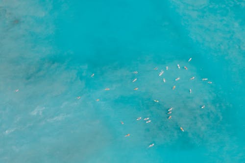 Bezpłatne Darmowe zdjęcie z galerii z deska surfingowa, dron, fale Zdjęcie z galerii