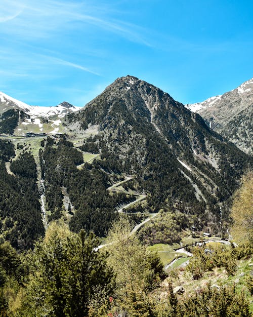 Gratis stockfoto met bomen, hiken, natuur