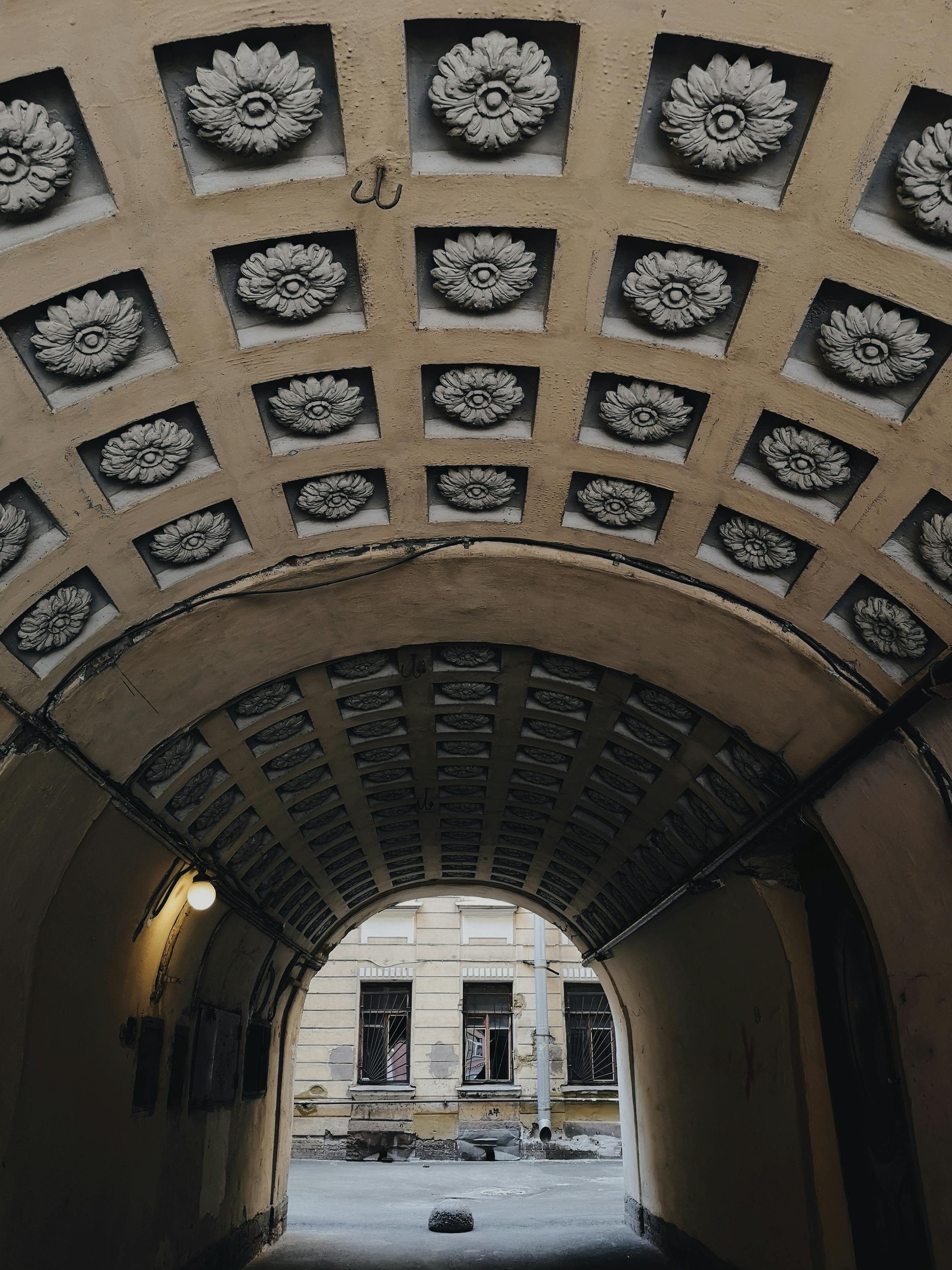 一条通往城市街景的独特花卉天花板隧道