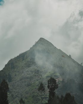 Misty mountain peak surrounded by lush greenery and clouds, creating a serene landscape.