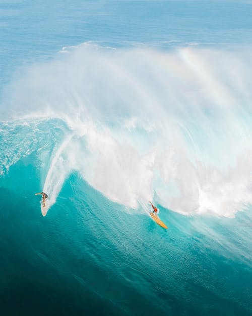 Fotobanka s bezplatnými fotkami na tému Havaj, honolulu, modrá