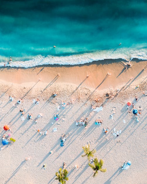 People on Beach · Free Stock Photo