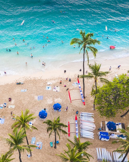 People on Beach