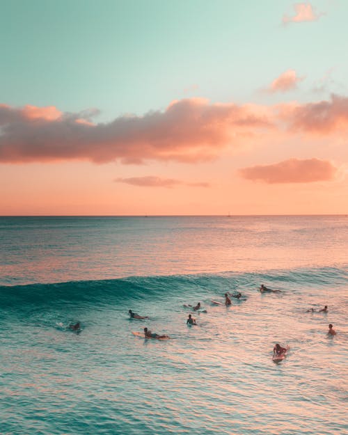 People Surfing on Sea during Sunset