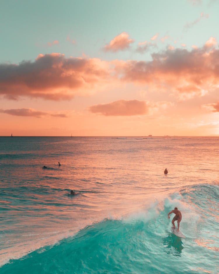 Surfers Surfing On Sea Waves During Golden Hour