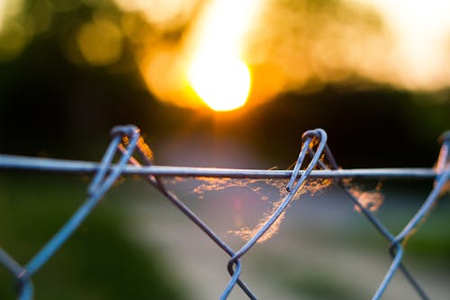 Základová fotografie zdarma na téma barva, příroda, příroda tapeta