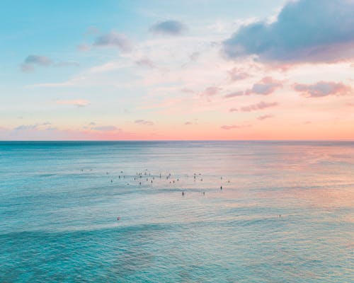 傍晚的太陽, 夏威夷, 天堂 的 免费素材图片