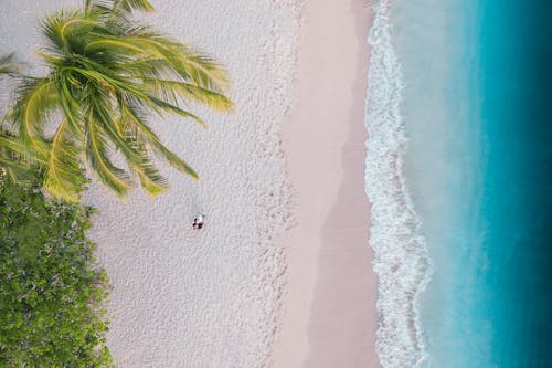 Free Drone Shot of People Standing on the Shore of a Beach Stock Photo