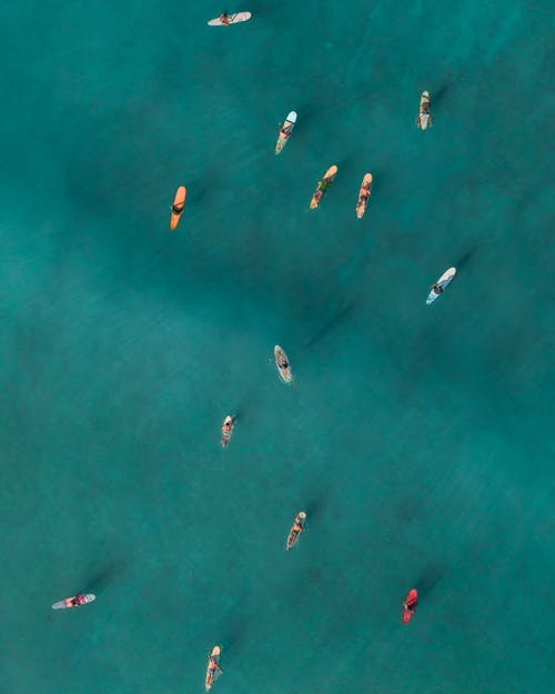 Birds Flying over Body of Water