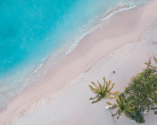 Free Waves Crashing to the Sandy Shore Stock Photo