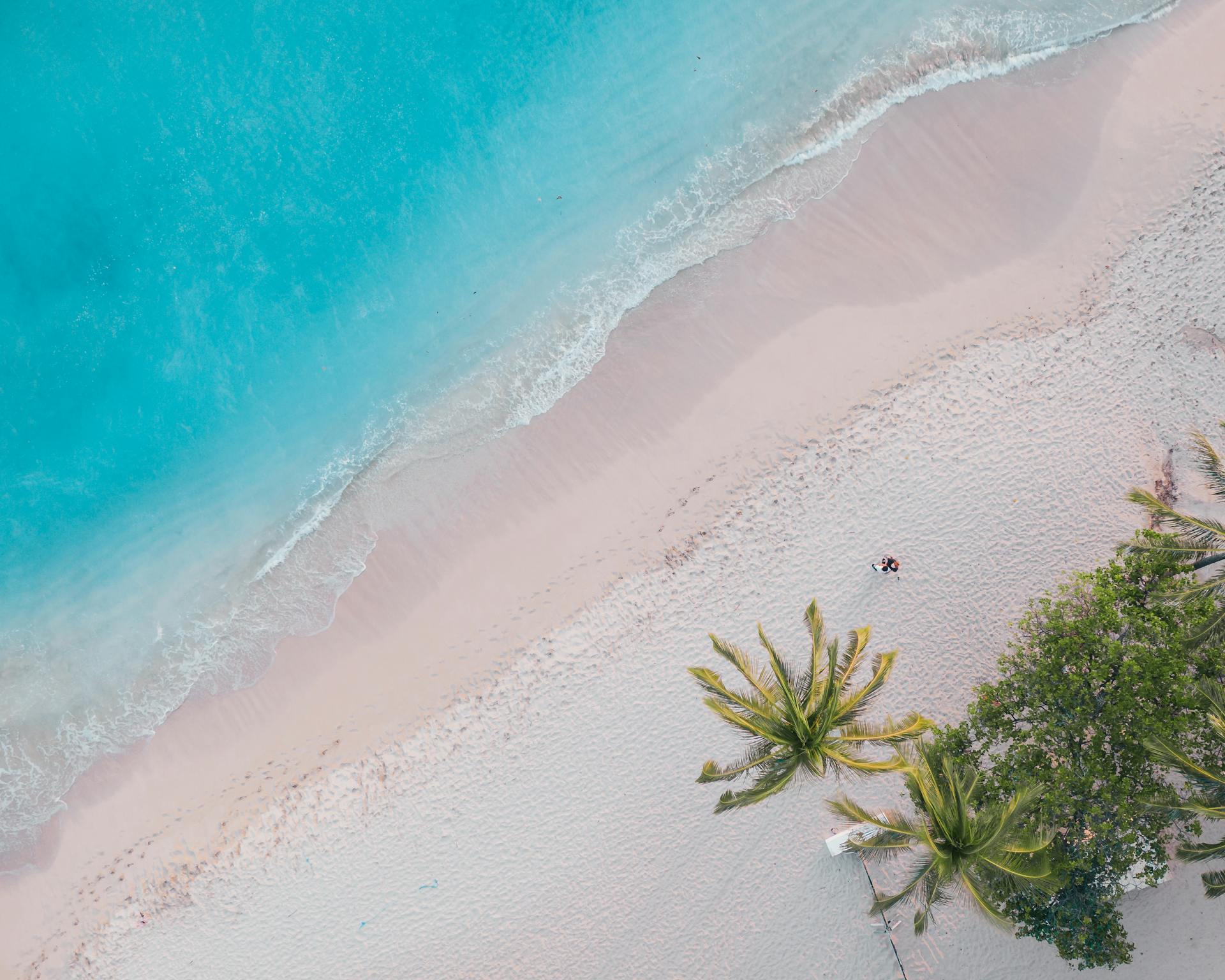 Breathtaking aerial view of a sandy beach with azure waves and lush palm trees in Hawaii.