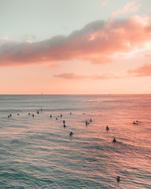 People on Sea during Sunset