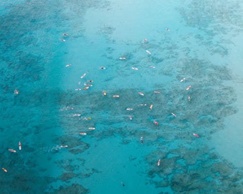 Aerial View of People Swimming on Sea