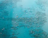 这张令人惊叹的航拍照片捕捉了夏威夷瓦胡岛附近碧绿海水中冲浪者的身影，展现了岛屿生活与海洋天堂的魅力