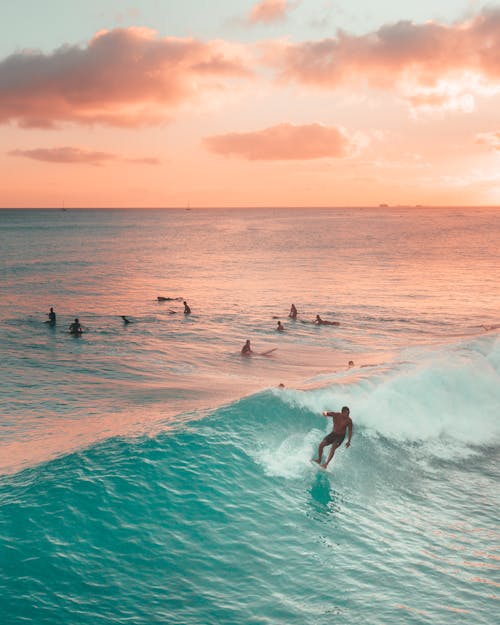 People Swimming on Sea during Sunset