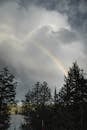 在平静的河水附近，彩虹生长在多云的雄伟天空下的绿色森林树木上