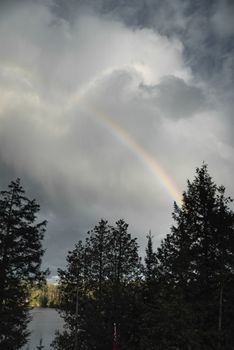 在平静的河水附近，彩虹生长在多云的雄伟天空下的绿色森林树木上