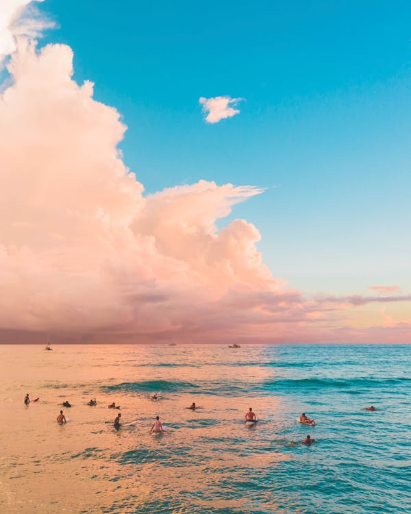 Foto profissional grátis de azul, cor-de-rosa, EUA