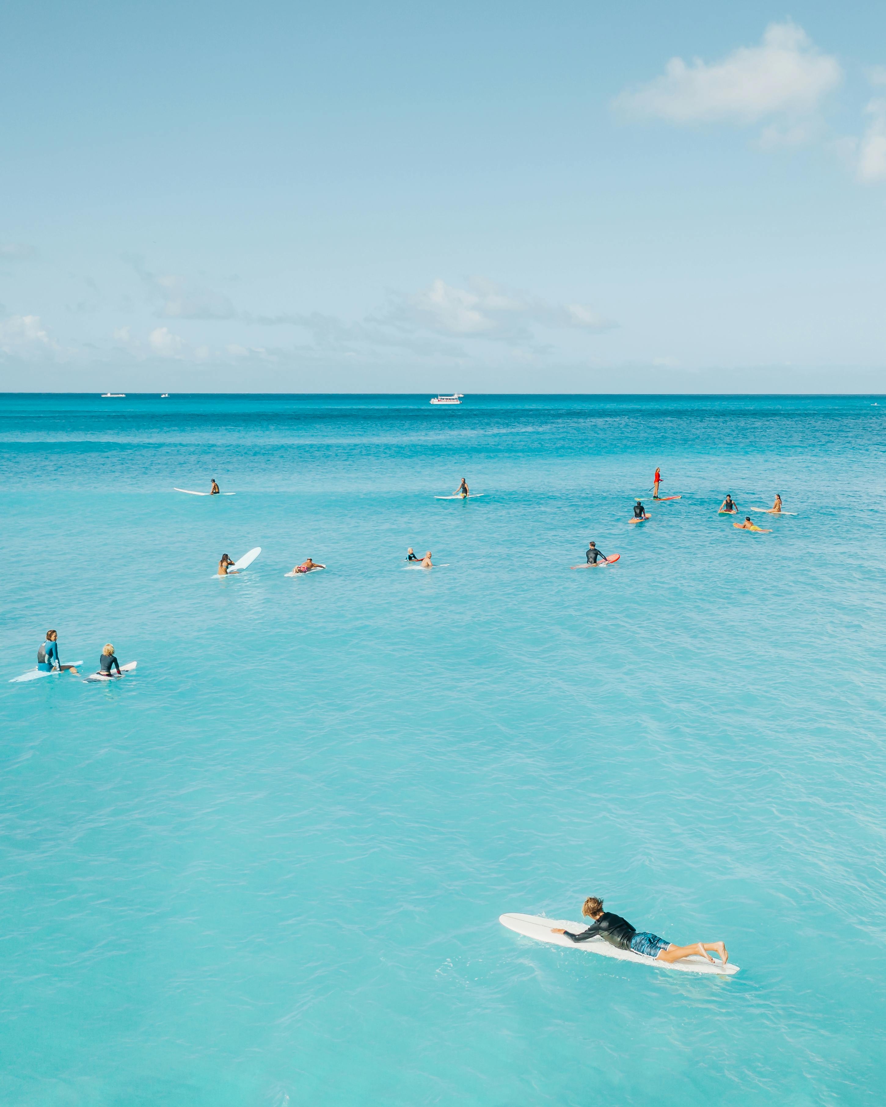 people in the beach