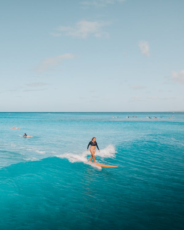 Woman in Black Bikini Surfing on Sea · Free Stock Photo
