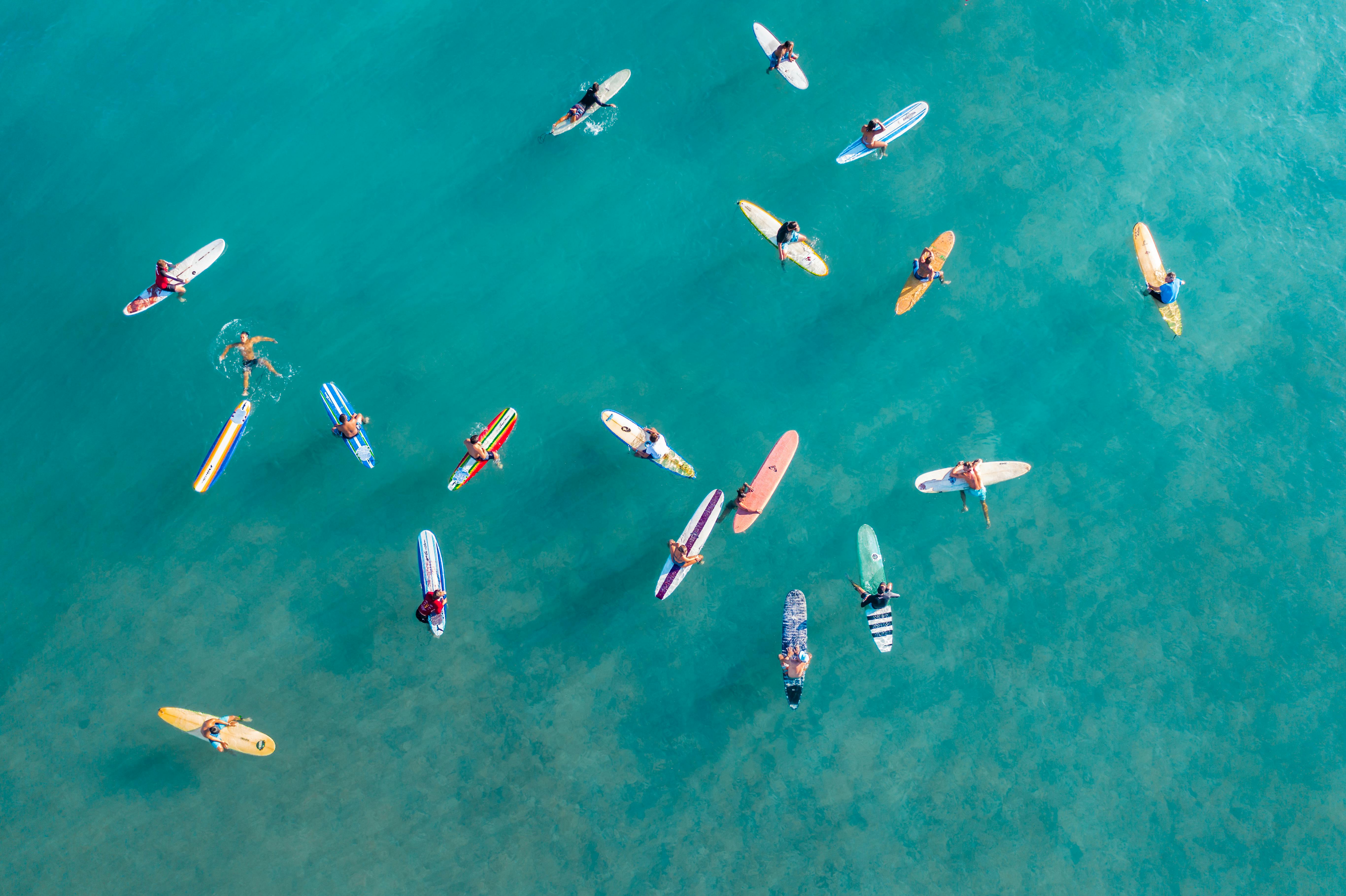 Surfers Paradise Festival