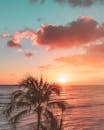 在海洋上体验充满活力的夏威夷日落，棕榈树和色彩缤纷的天空