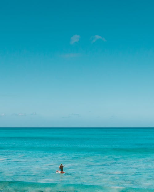 A Person Paddle Boarding on the Middle of the Sea