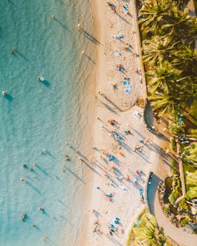 Stunning aerial view of a Hawaiian beach, showcasing turquoise waters, sandy shore, and palm trees at sunset.