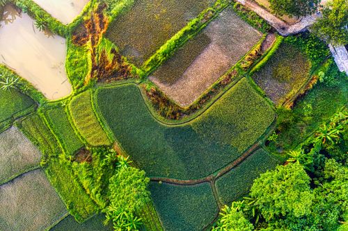 Free Stunning aerial view of lush rice terraces in West Java, Indonesia. Stock Photo