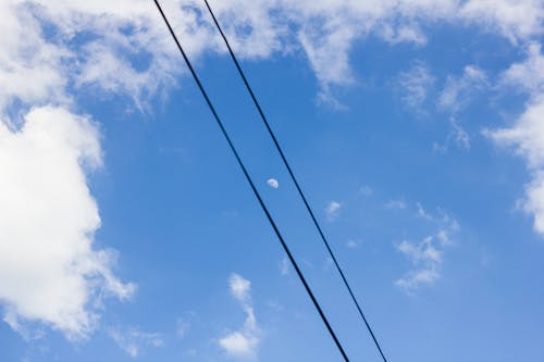 Free stock photo of blue, blue sky, moon