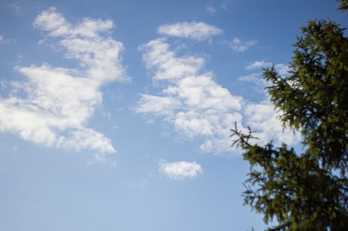 Free stock photo of blue, blue sky, cloud