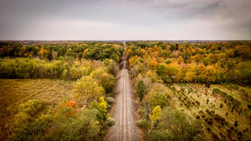 Free stock photo of autumn, autumn colors, autumn country railroad