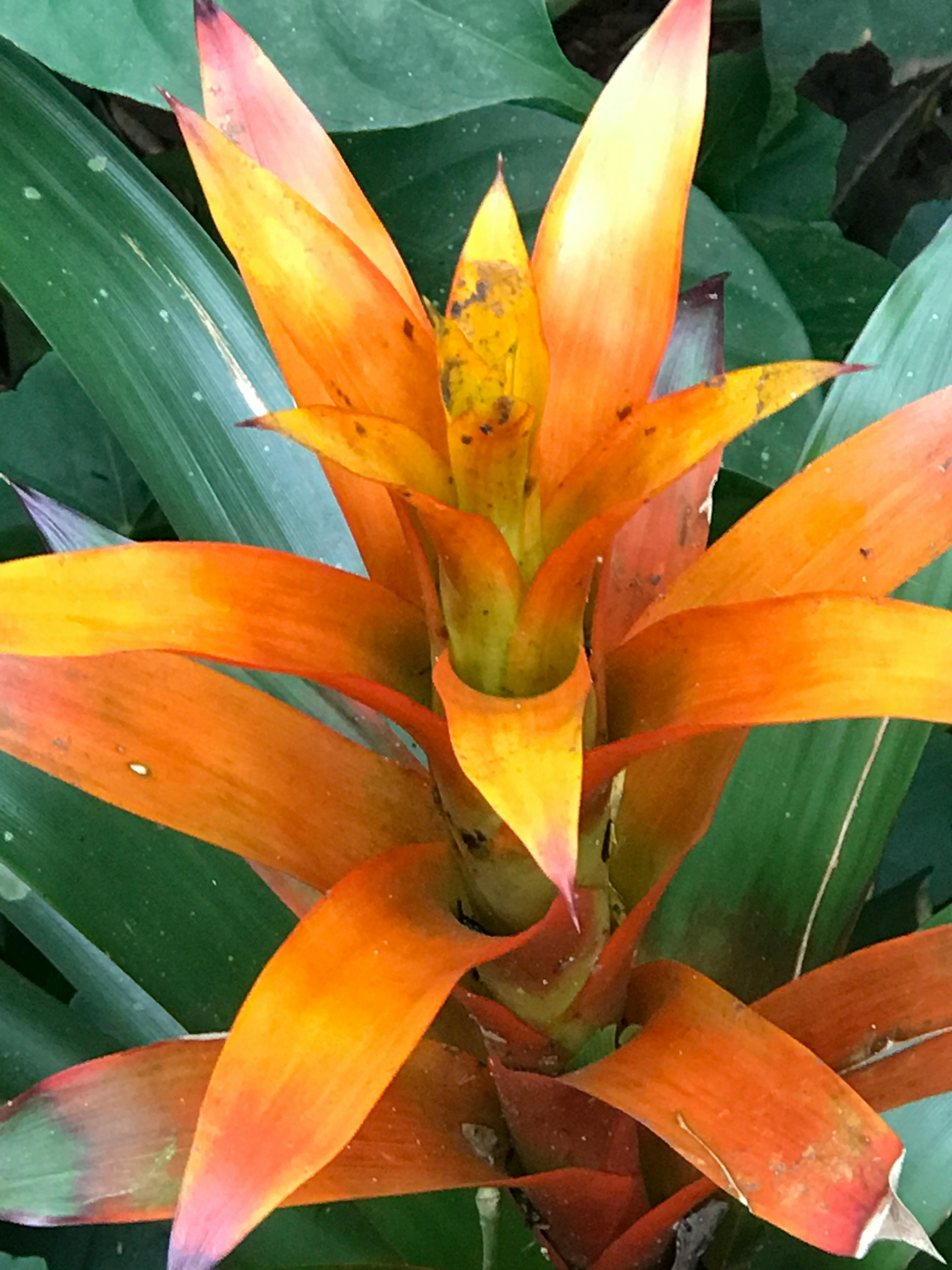 Фотосессия новорожденного