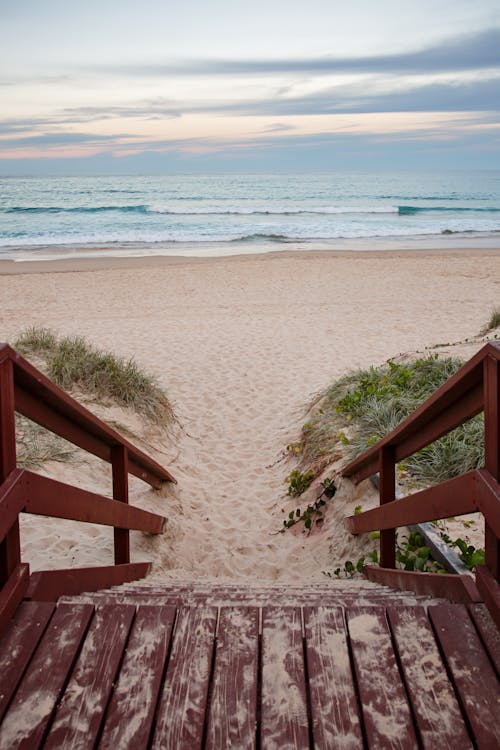 모래, 서퍼스 파라다이스, 일출의 무료 스톡 사진