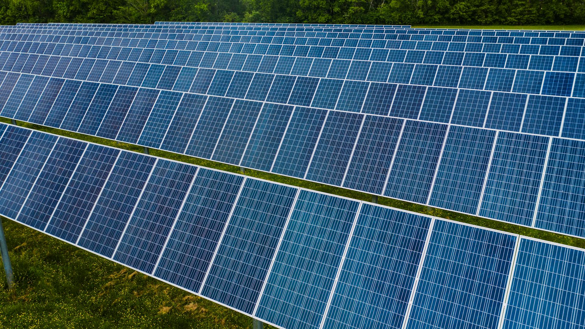 A vibrant solar farm showcasing rows of photovoltaic panels capturing energy.