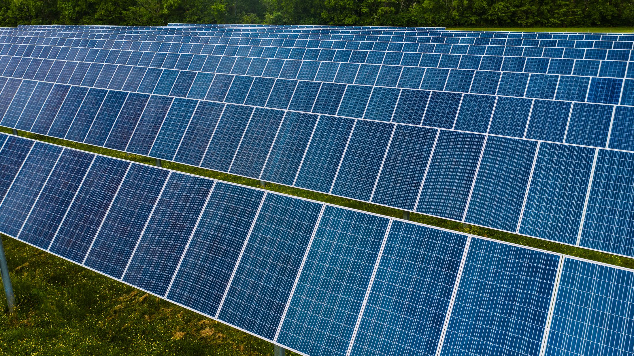 Pole-mounted solar trackers on a green field