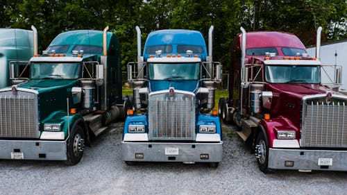 Vintage classic trucks of different colors parked in row on asphalt road against green trees