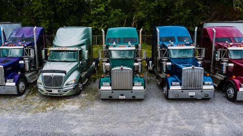 Free Row of vintage classic trucks of different colors parked on roadside outside warehouse against lush trees Stock Photo