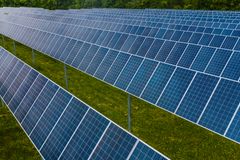 Contemporary blue photovoltaic panels pole mounted on grassy ground in rows in solar energy station