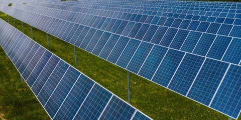 Contemporary blue photovoltaic panels pole mounted on grassy ground in rows in solar energy station