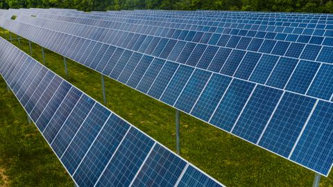 Contemporary blue photovoltaic panels pole mounted on grassy ground in rows in solar energy station