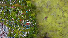 Drone top view of abandoned obsolete vehicles dumped near marshland with green stagnant water