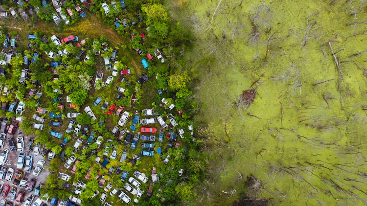 Woeful View Of Automobiles Graveyard Located Near Green Wetland