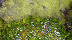 Drone view of automobiles graveyard located near wetland with decayed vegetation and green water