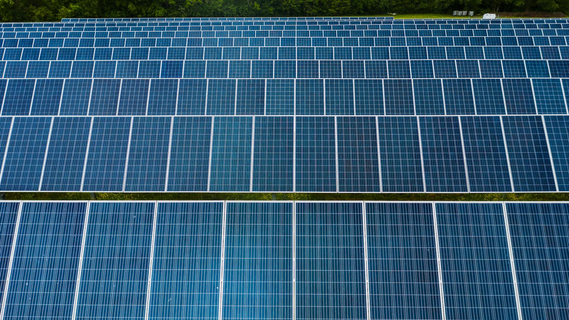 Contemporary installation of solar panels mounted on field in environmental friendly solar power station