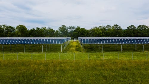 Free Modern photovoltaic solar energy station in lush countryside Stock Photo