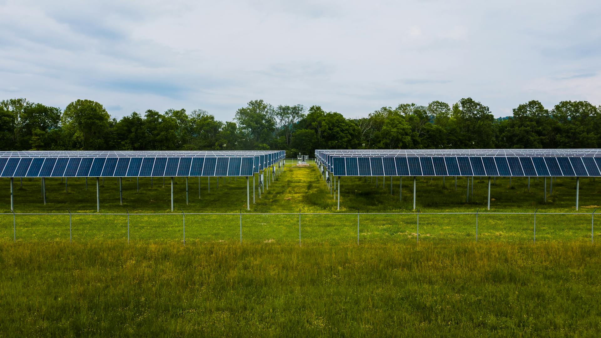 Modern photovoltaic solar energy station in lush countryside